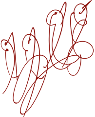 Душа-Птица картина на Шри Чинмой